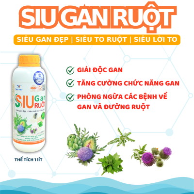 SIU GAN RUỘT