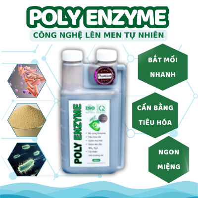 POLY ENZYME 