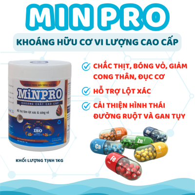 MINPRO