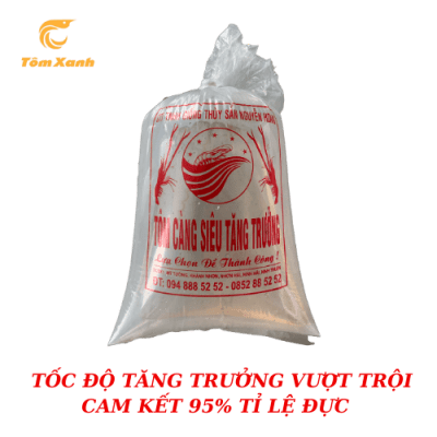CÀNG SIÊU TĂNG TRƯỞNG